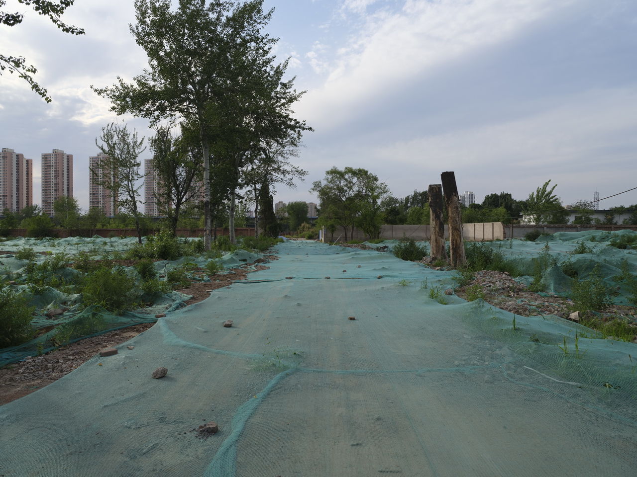 天津动力机厂下岗职工,天津动力机厂在哪