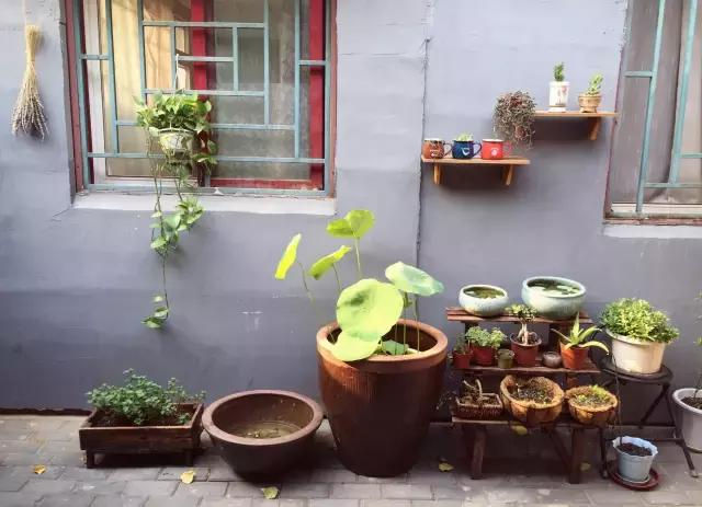 平房小户型房屋改造,40平出租房改造图片