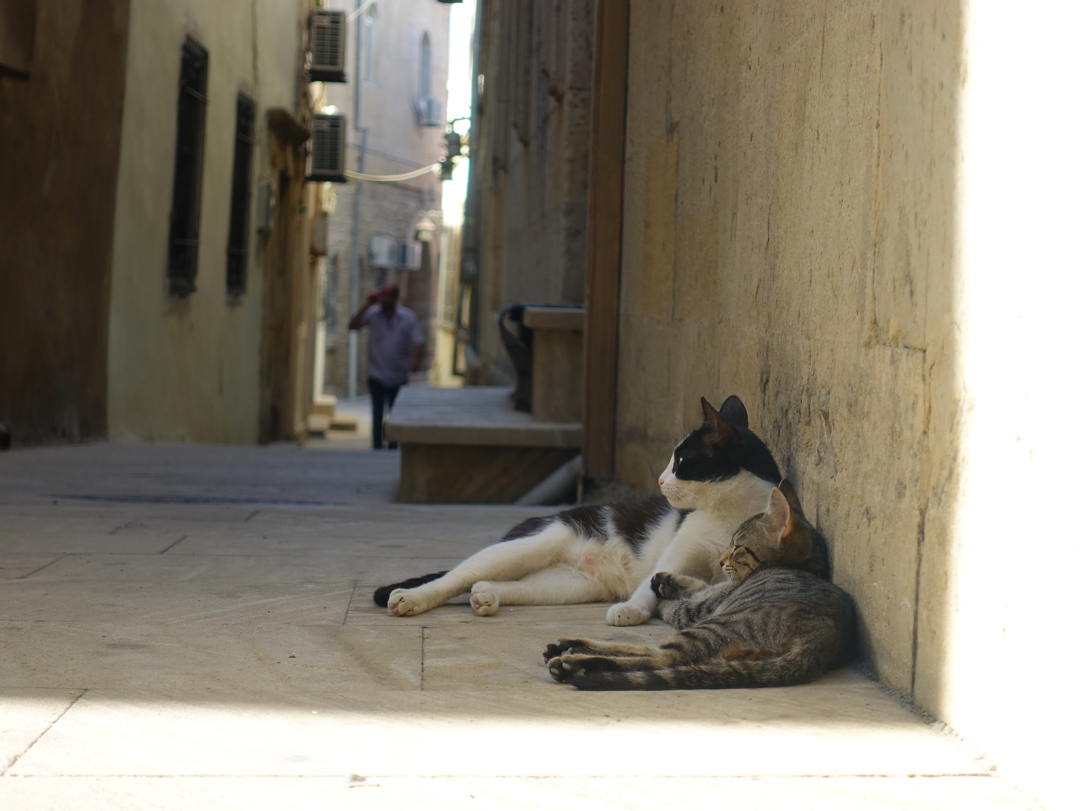 被遗忘的欧洲版图,阿塞拜疆高加索之旅