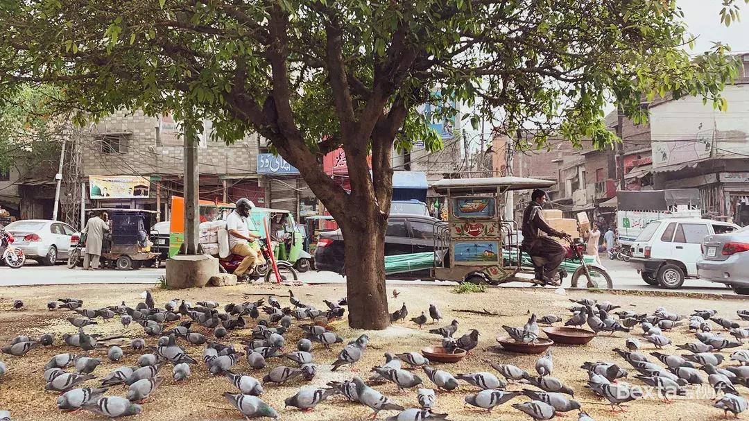 bexta宝视达公司实力怎样,bexta宝视达