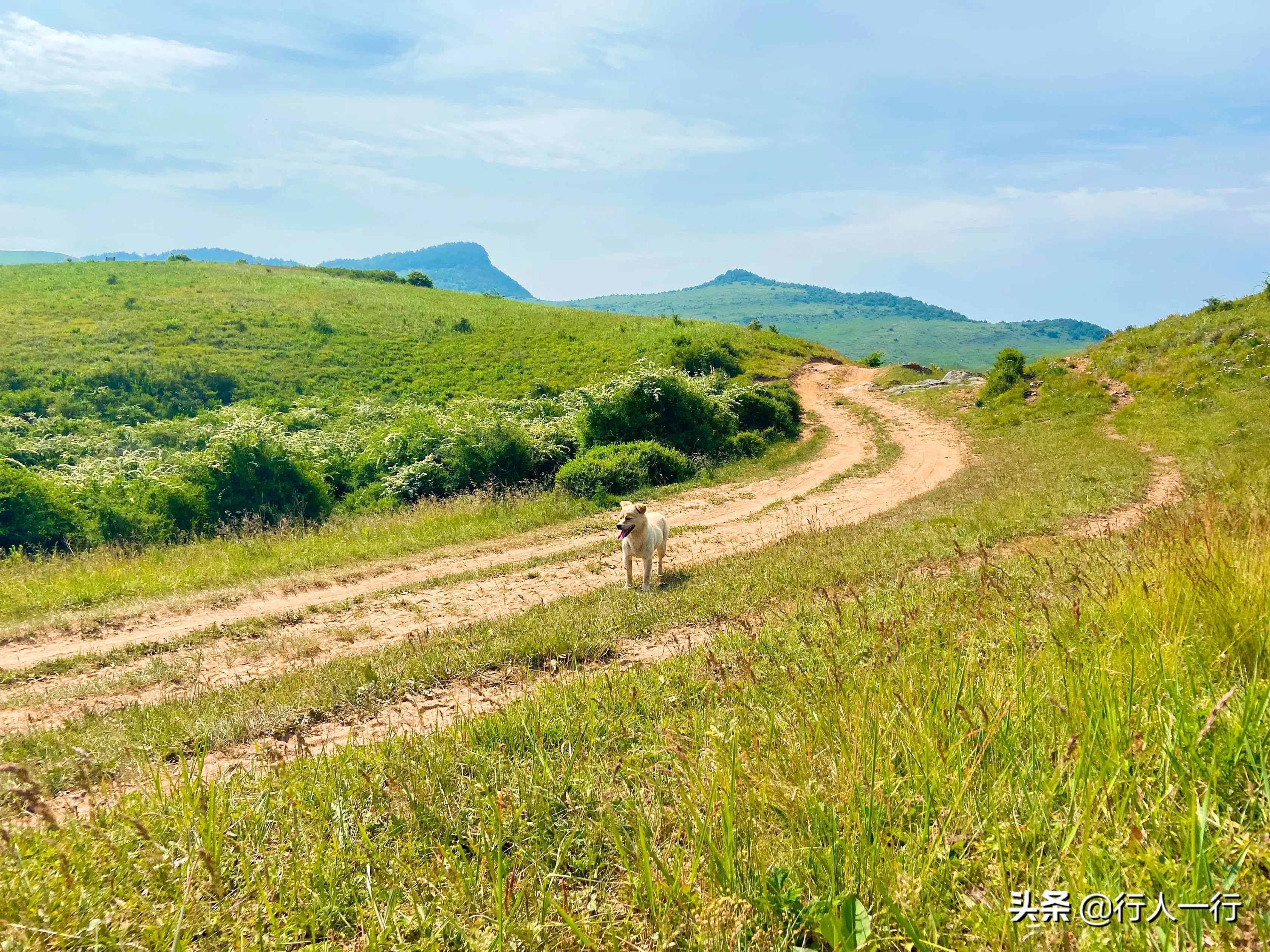 华北最大的亚高山草甸圣王坪,华北最大的亚高山草甸