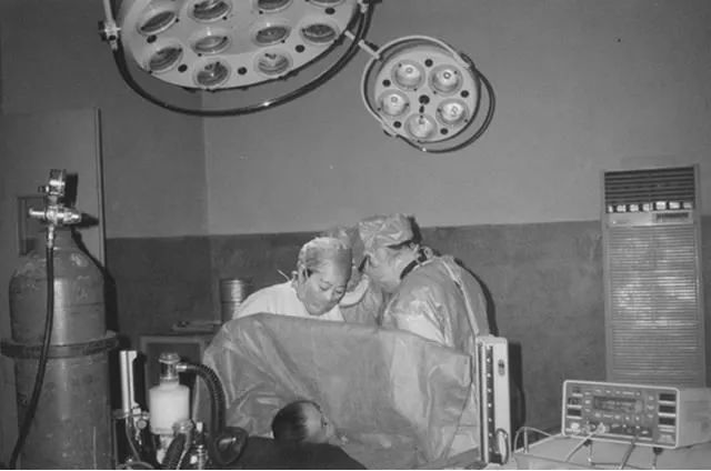 莆田系的家族名单,莆田系宗族故事