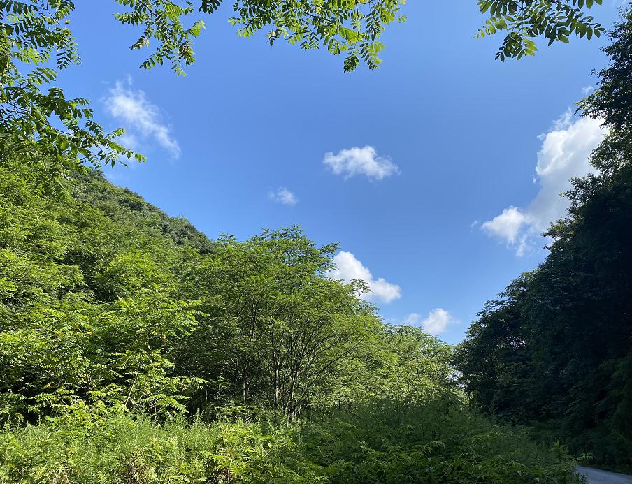 相约清凉避暑2日游！自驾醉美云雾仙境，贵州“香格里拉”