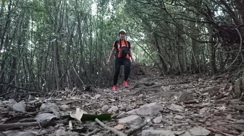 萨洛蒙和泰尼卡越野跑鞋,泰尼卡越野跑鞋至尊全能比较