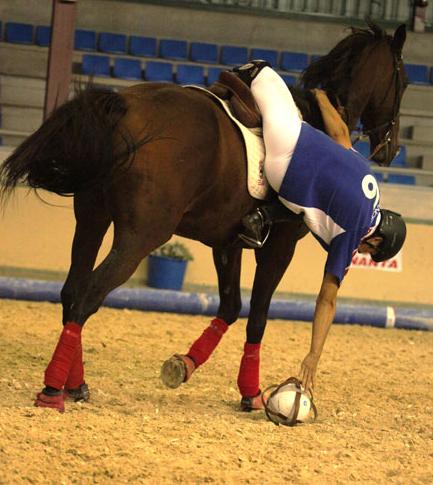 你们见过篮球；见过马球，但是你们见过马篮球吗？