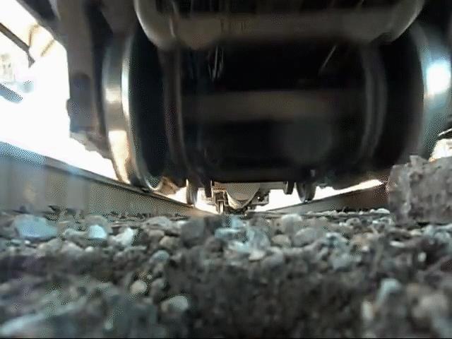 神奇“屎尿”去哪里之交通篇