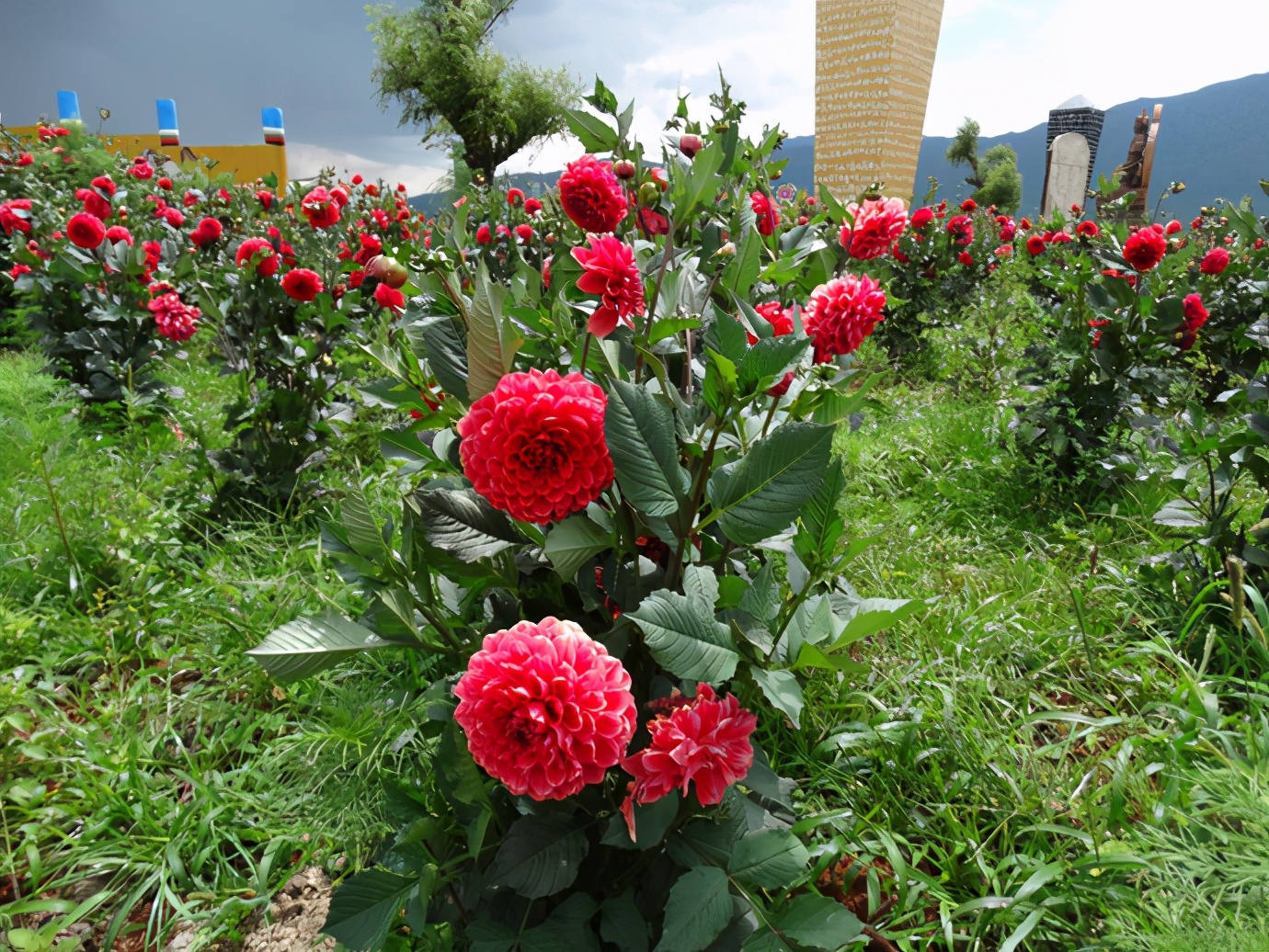 丽水金沙东巴祈福,聊旅游景点