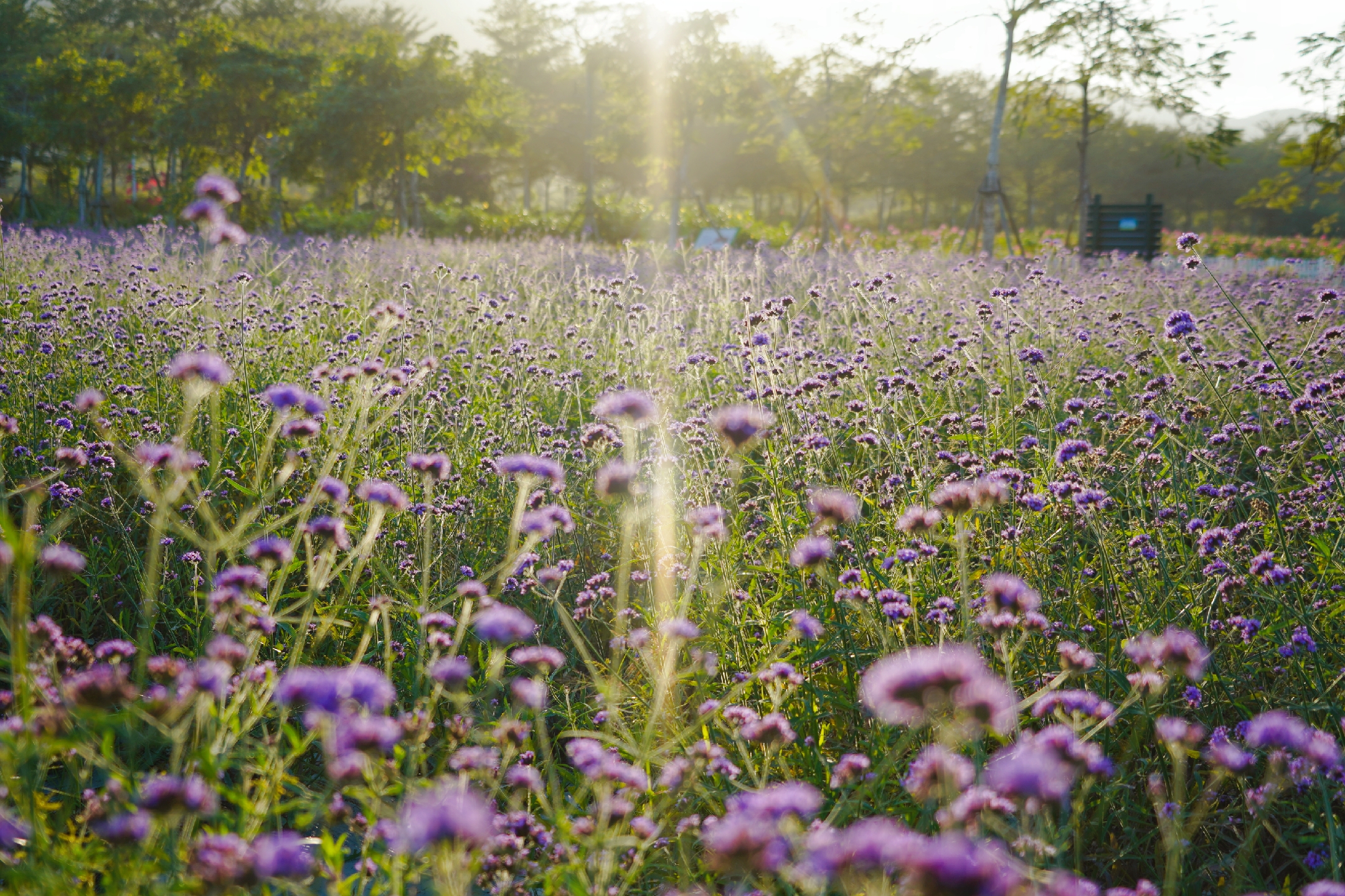 5天4晚畅游三亚攻略,三亚旅行3000玩转四天三夜