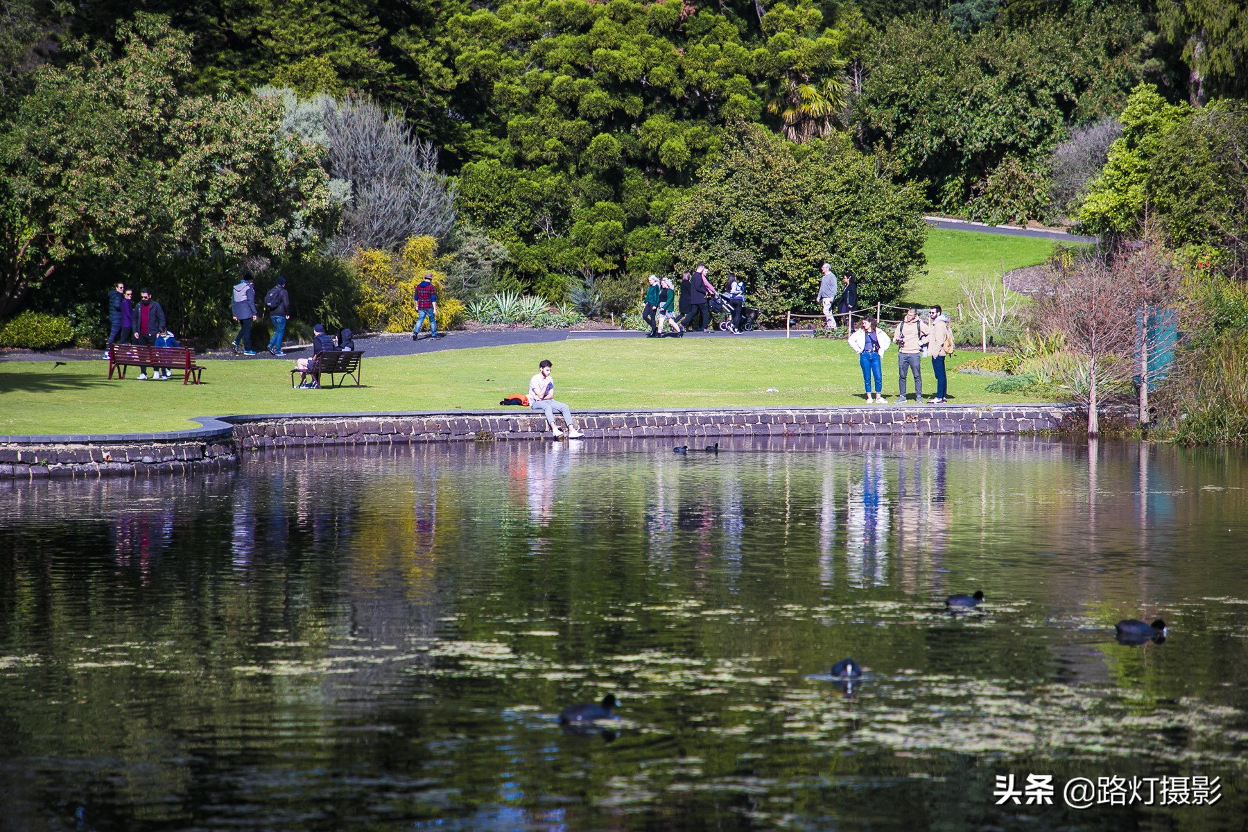国外有没有禁止踩踏草坪,为什么国外草坪可以随便踩