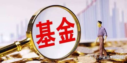 怎么定义基金公司,什么是基金投资公司