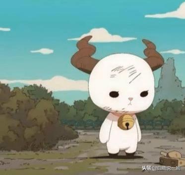 那些年那些兔爱国动画短片,那年那兔那些事爱国照片