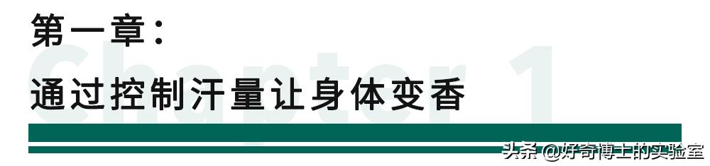 怎么样才能让身上闻起来香香的,怎么能让身体闻着很香