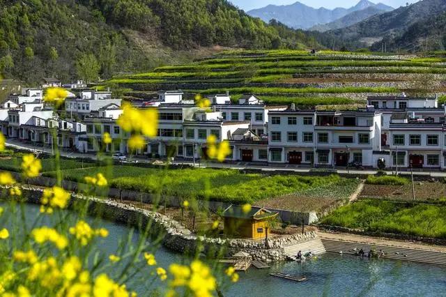 秦岭深处绝美村落,秦岭深处一座美丽的世外桃源