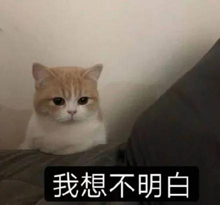 起飞的Yeezy拖鞋？4款新配色被曝光，发售日期提前泄露