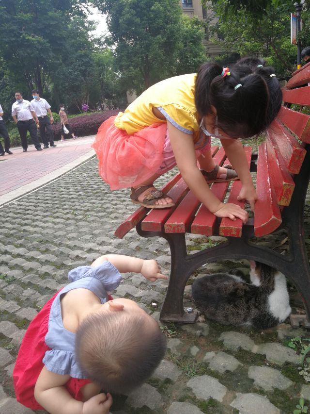 遛弯儿抖音女版,遛弯的少女