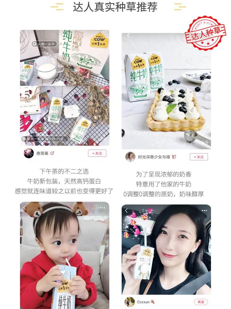 家庭元气满满的简单的早餐,元气满满早餐食谱大全