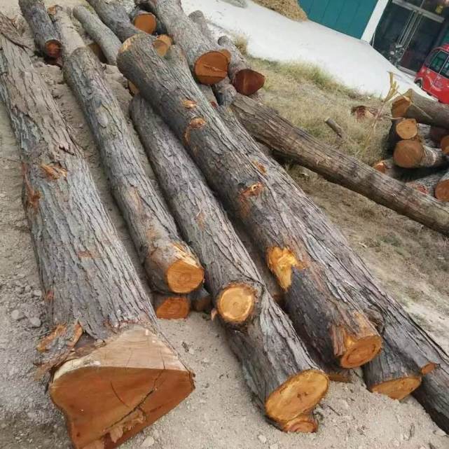 红油香椿木跟绿油香椿木哪个好,红香椿木与白香椿木区别