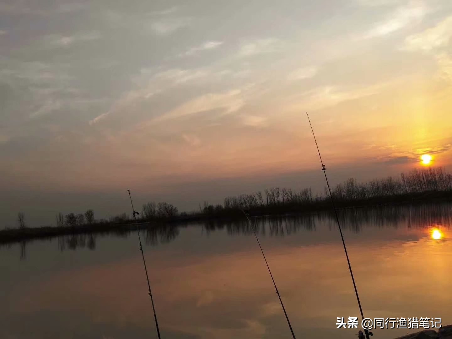 电子铃铛报警器,双响铃铛报警器