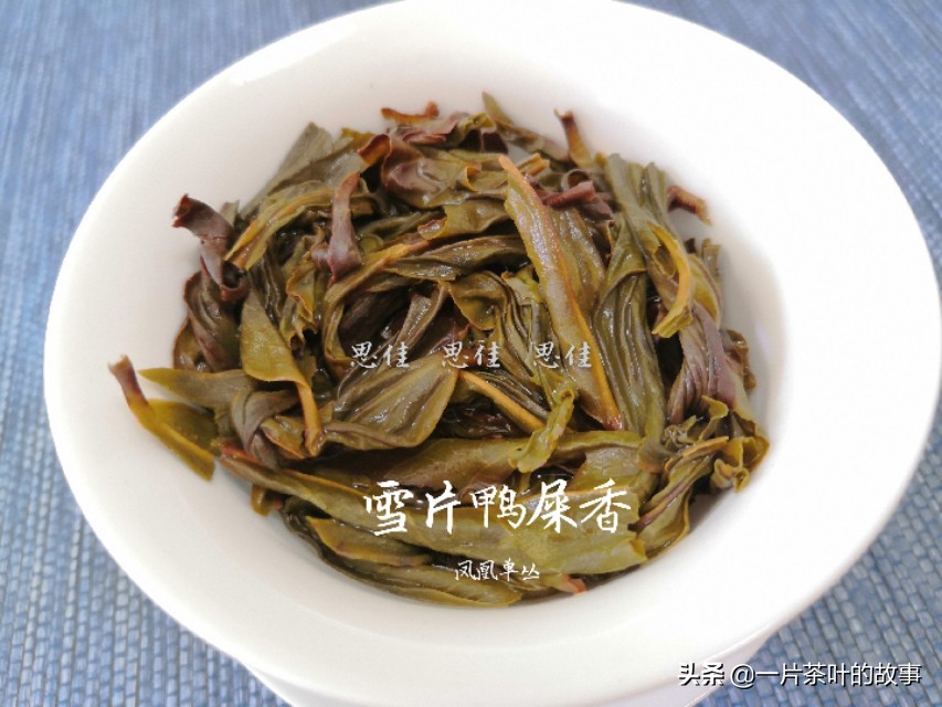 如何冲泡凤凰单枞,顶级凤凰单丛冲泡