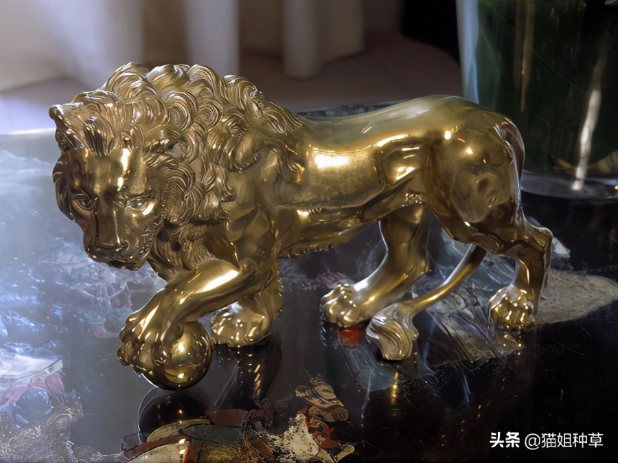 香奈儿口红情人节限定礼盒老款,香奈儿限定新品口红