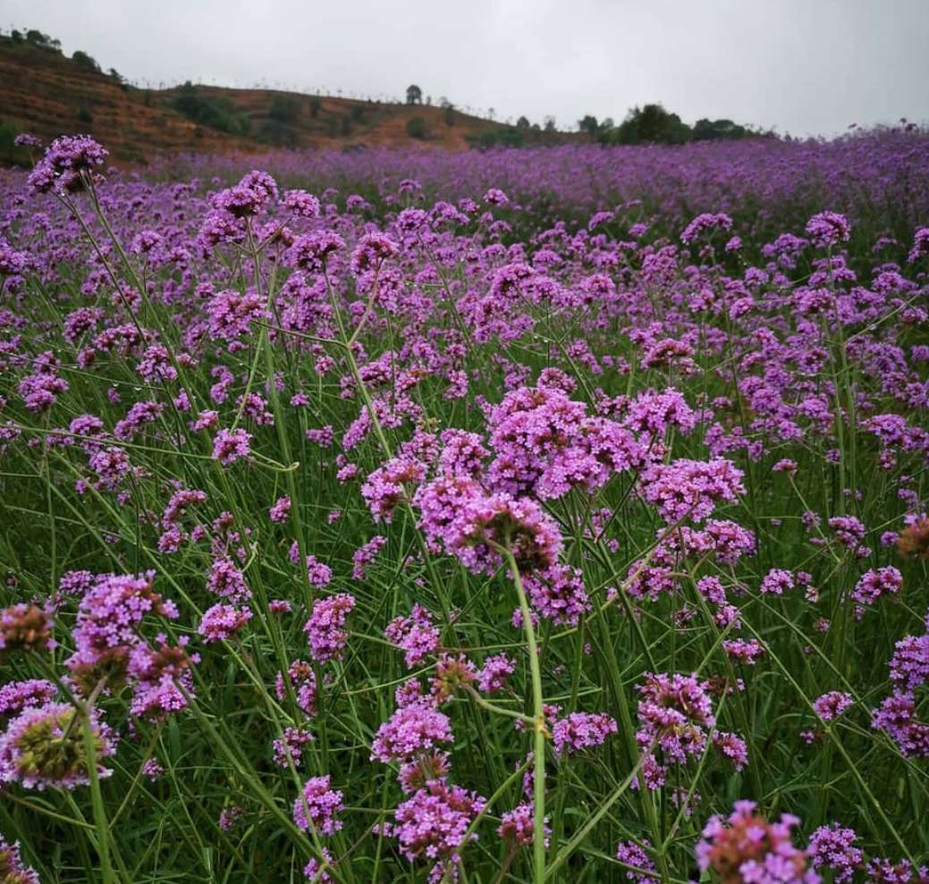期望薪资是月薪还是年薪,薪资月薪和年薪的区别