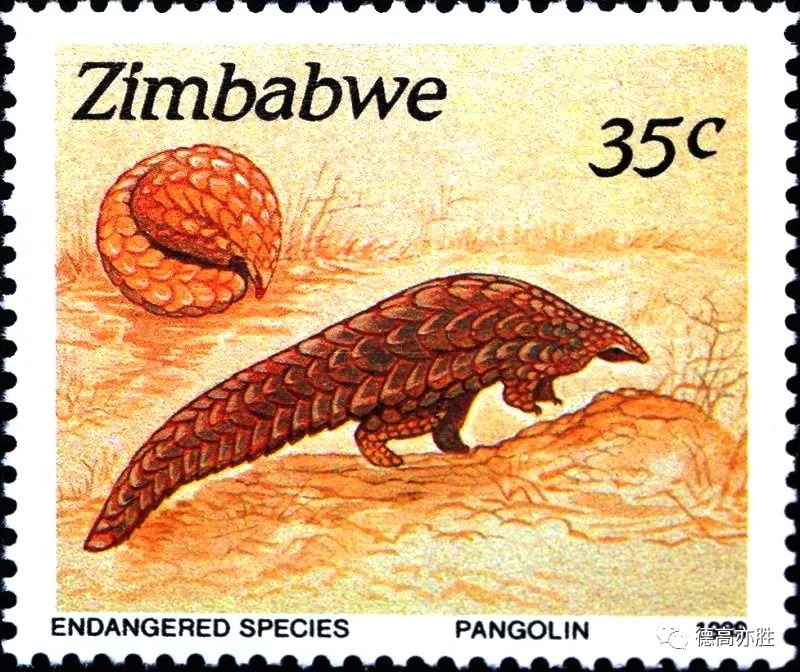 童正祥：邮票上的穿山甲故事