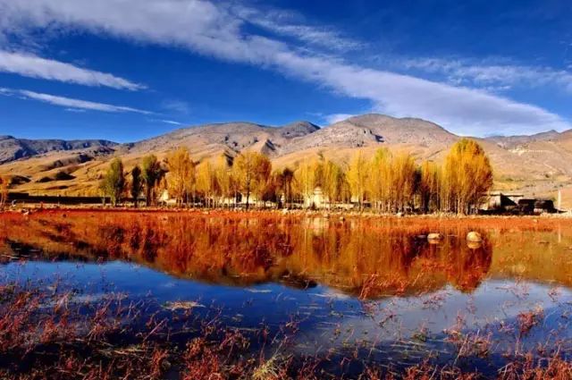 有多少人被国家旅游局列入黑名单 (旅游十大黑幕真实案例)