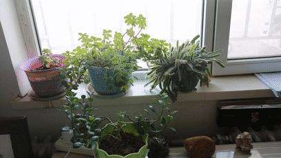 戈壁滩大沙漠无人区,戈壁滩无人区