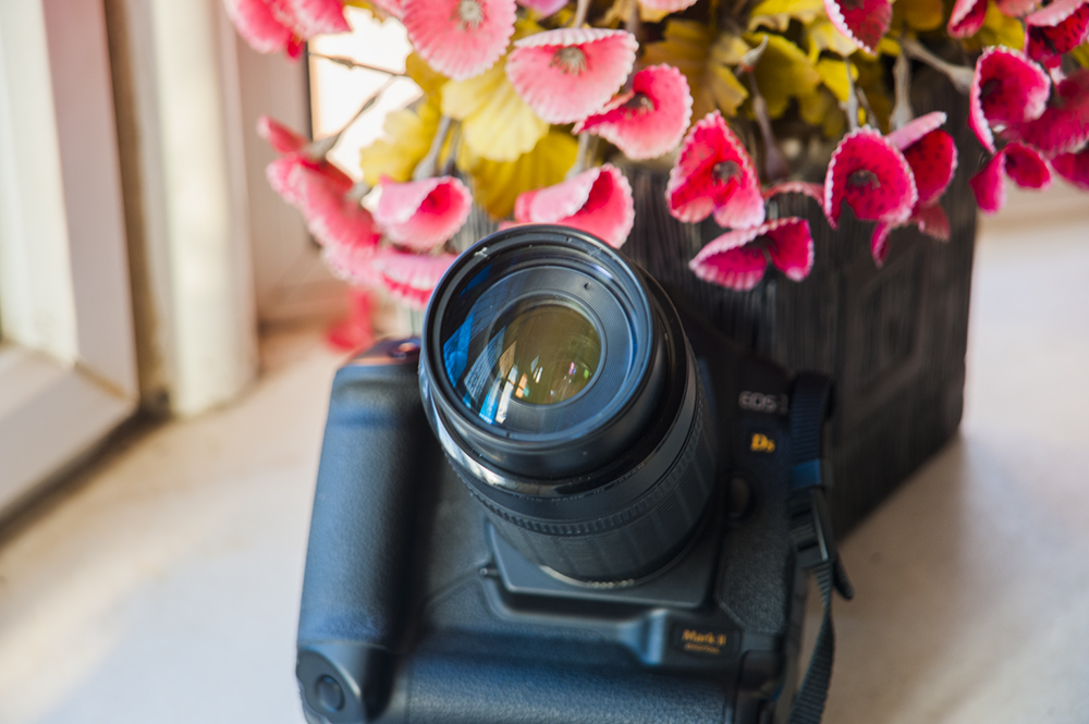 镜头霉变怎么办,相机镜头里面发霉了怎么处理