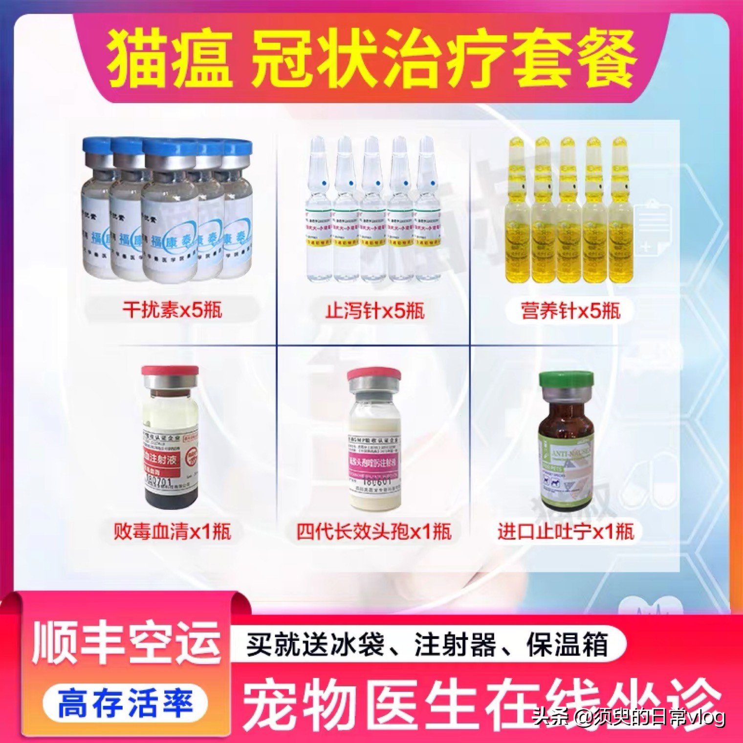 猫瘟救助过程全记录，献给需要帮助的猫奴们