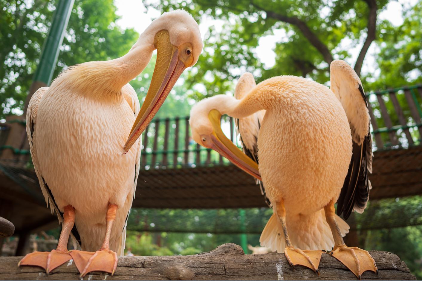 Z6？贼溜！——十五年佳能老用户的尼康初体验