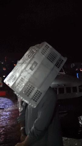 疯狂的松茸,疯狂的野生菌