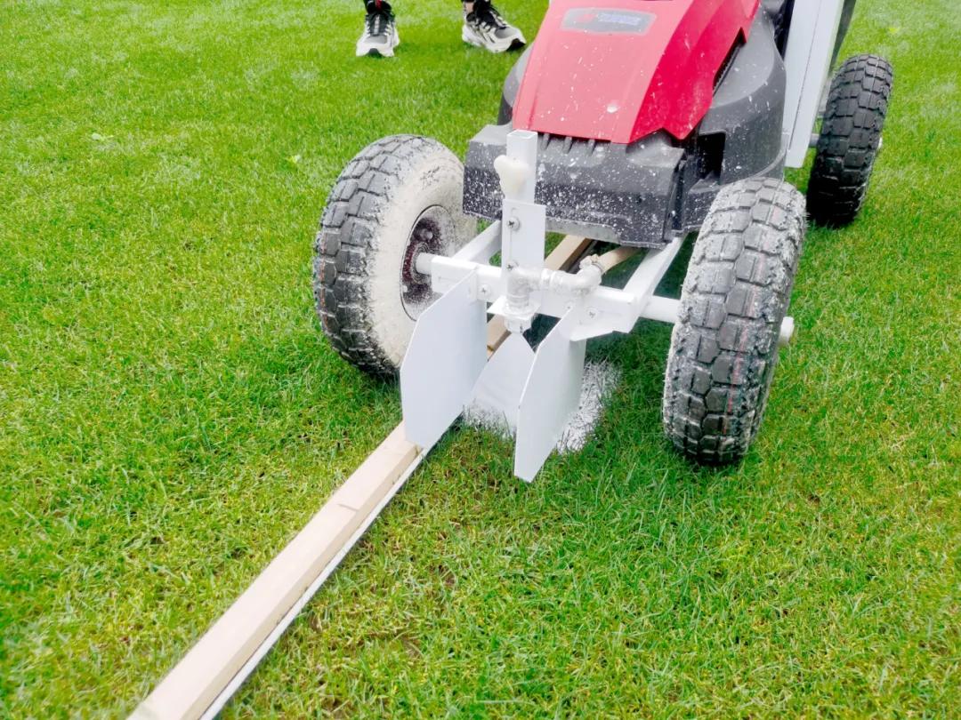 凝心聚力绽放活力趣味活动,趣味运动会凝心聚力项目