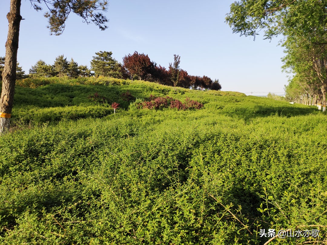 石家庄有个天然氧吧,石家庄天然氧吧旅游景点