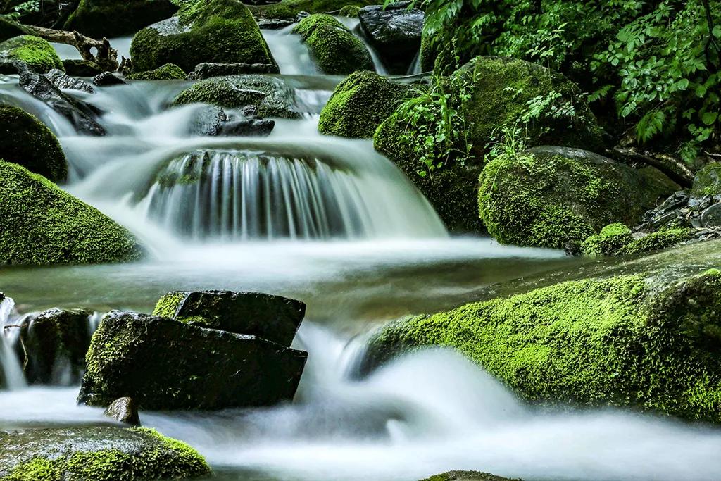 白山之夏旅游,白山4天旅游攻略