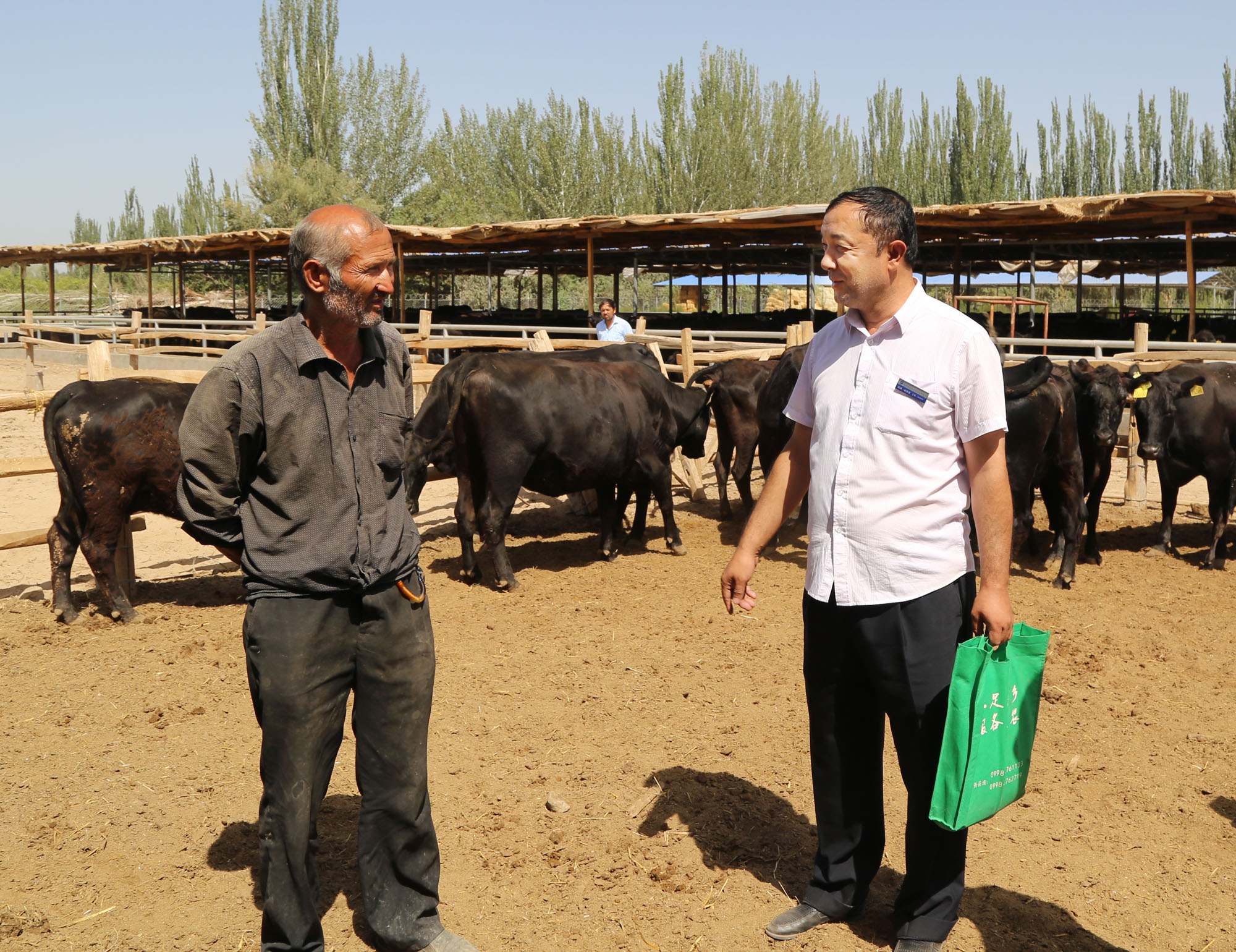 新疆农商银行整村信用社覆盖率,新疆农村信用社全面深化改革