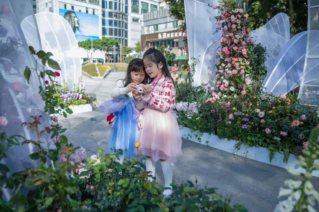 深圳花展2019年12月时间表,深圳第一场春天花展