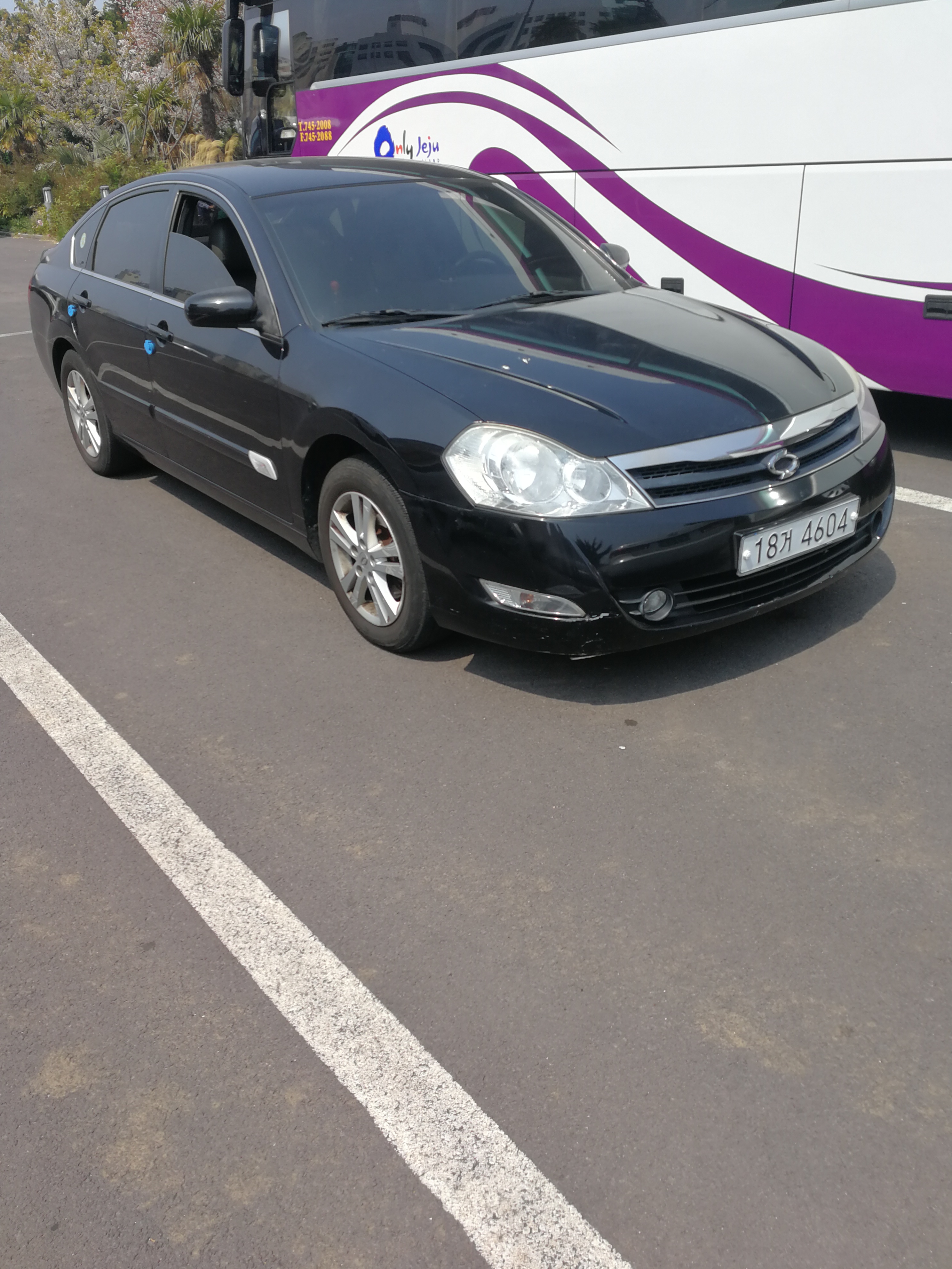 看一看济州岛上的汽车，你就明白韩国国民对本土汽车品牌的热爱