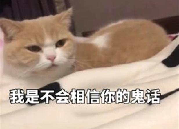 考上编制是不是都很优秀,考上编制后的生活