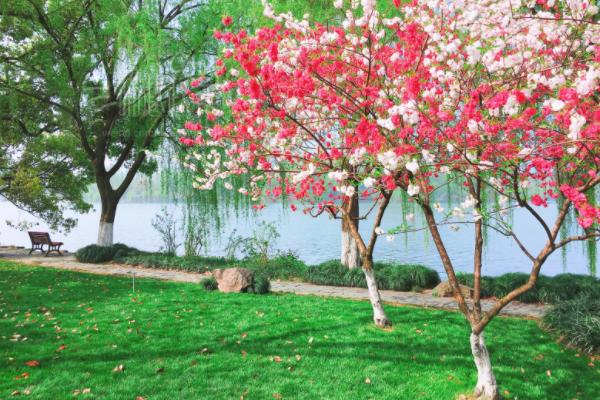 杭州游之西湖十景,苏堤春晓杭州十景