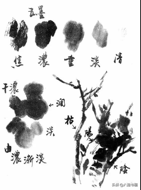 小写意花鸟画笔法,小写意花鸟画笔墨技法与创作