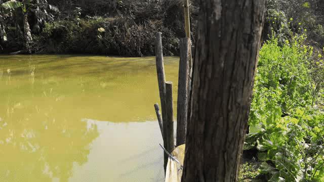 广西河池照片,广西河池图片大全