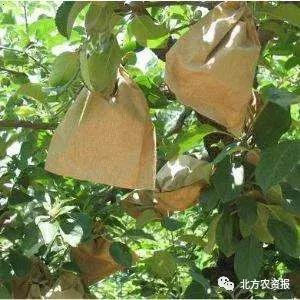 学校特色小吃创业好项目,特色小吃创业好项目加盟