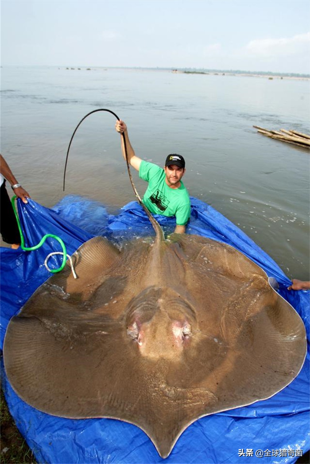 word一般字体大小是多少,word字体大小是多少