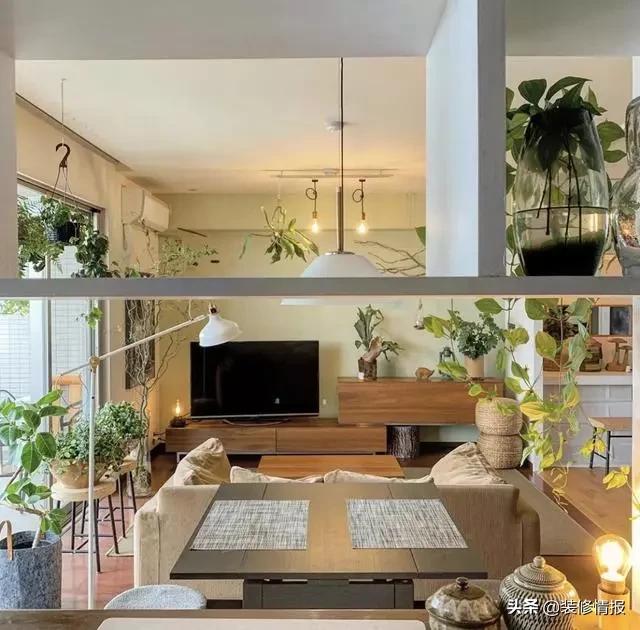 丁克夫妻一人一个房间,两人三餐四季爸妈的爱情