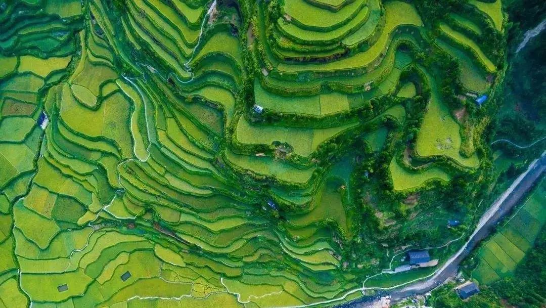 孩子暑期必看的50部神级纪录片,适合孩子和家长一起看的纪录片