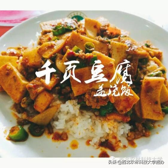 一所大学就是一座城！让你爱上西北农林科技大学的5大理由