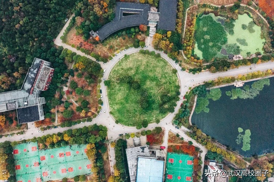 爸妈我想回家视频,爸妈我想回家了原视频