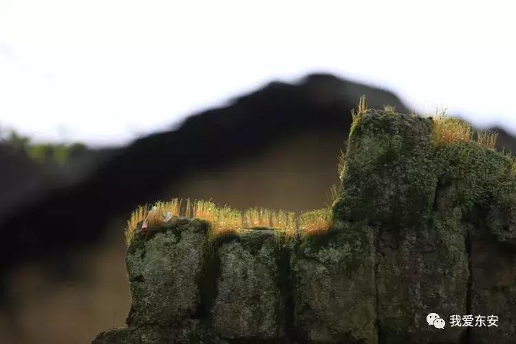 永州东安横塘周家大院,东安横塘周家大院