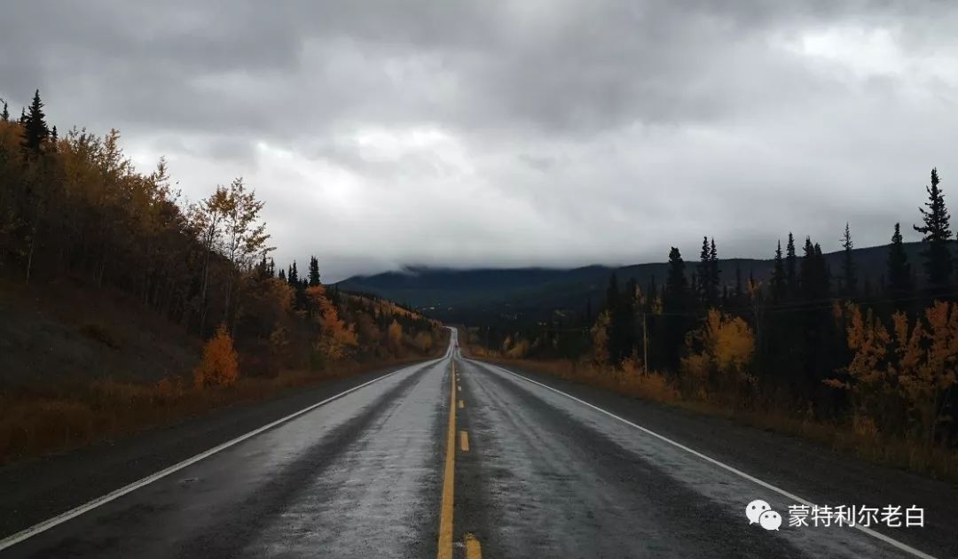 跟着老白行走加拿大，育空Watson Lake、BC省Northern Rockies
